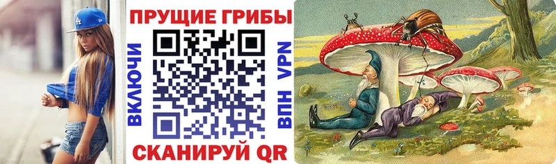 Галлюциногенные грибы Cubensis  что такое наркотик  blacksprut ССЫЛКА  Сурск 